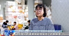 成长农村冷链设备 打通农产物进城“最先