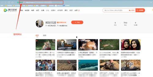 热点爆料衣服怎么做的视频,跟随热点爆料视频一探究竟