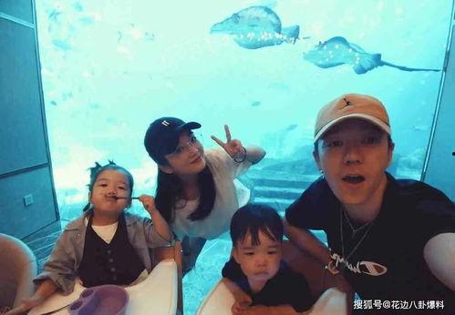 吴雅婷最新大爆料,娱乐圈背后的惊人真相