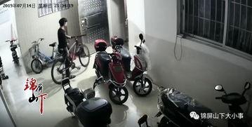 单车爆料视频,一窥城市交通新趋势